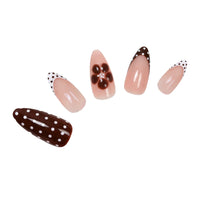 Brown Polka Dot - 24PCS